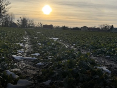 Złe warunki pogodowe w grudniu. Na wiosnę grozi nam susza?