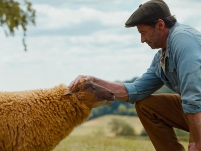 Hugh Jackman jako pasterz stada owiec. Zobaczcie pierwszy zwiastun filmu The Sheep Detectives