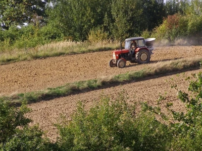 Rolnik chce wydzierżawić ziemię, współwłaściciel mówi „nie”. Co można zrobić?