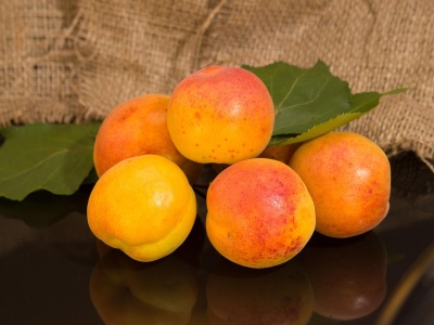 Czy amigdalina (B17) jest skuteczna na nowotwory? Rzetelna analiza.