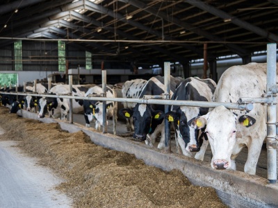 Bez szkolenia stracisz 30 proc. dopłat. Ważny obowiązek dla rolników