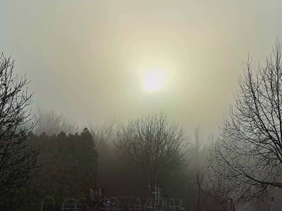 Czy Ogród Botaniczny Instytutu z Myślęcinka zimą śpi? Przekonajmy się! Drzwi otwarte!