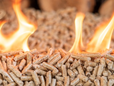 Zaskakująca alternatywa dla pelletu. Są tańsze, a ich popiół może być nawozem