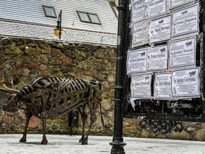 Więcej narodzin niż ślubów, niemal tysiąc zgonów. Demografia Chojnic bez złudzeń