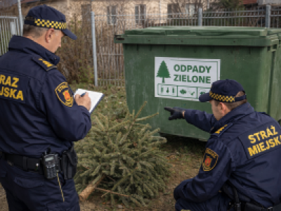 Zbiórka choinek w Warszawie. Drzewka wrócą do lasu, ale są warunki