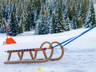 Top 3 modele sanek - klasyczne drewniane i bobsleje. Bezpieczne, wytrzymałe i w super cenie!