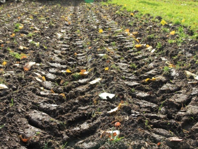 Opona radialna a diagonalna – znaczenie, różnice i korzyści. Co powinieneś wiedzieć