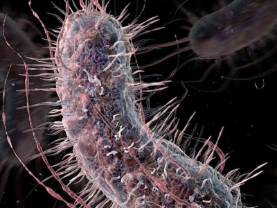 XV Noc Biologów na UKSW. Warsztaty i wykłady o sygnałach w świecie przyrody