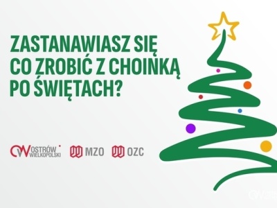 Zabiorą Twoją choinkę sprzed domu – szczegóły