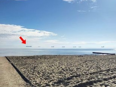 „Latające statki”. Spotkasz je spacerując po polskich plażach