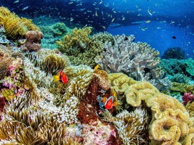 Nadal odkrywamy nowe gatunki. I to szybciej niż kiedykolwiek