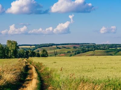 Co zyska Polska na umowie UE-Mercosur?