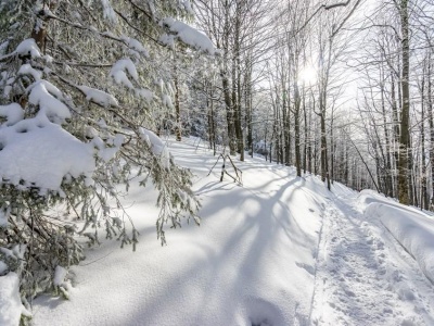 W Bieszczadach obowiązuje lawinowa dwójka. Trudne warunki na szlakach