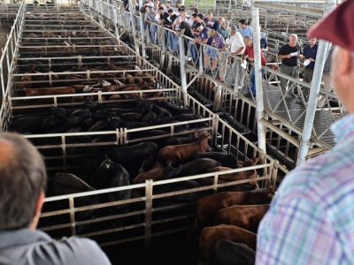 Prof. SGH o umowie UE–Mercosur: kontyngenty i „ceny wejścia” mają chronić rolników