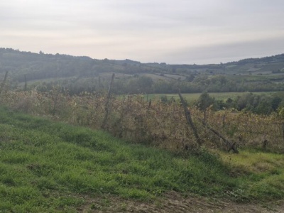 „Jesteśmy starzy, ale nie głupi”. Smog to też problem południa Europy