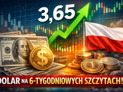 Kurs dolara prognozy na najbliższe dni: Kurs wymiany USD/PLN najwyżej od 6 tygodni!