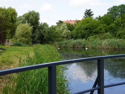 Spojrzenie, książka, pomysł. Tak narodził się konkurs w kolskim parku