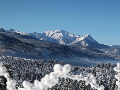 TOPR krytykuje alert RCB. 