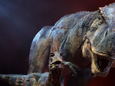 Podręczniki piszemy na nowo. Tyranozaur potrzebował aż 40 lat