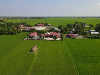 Rolnik kupuje ziemię. Czy żona ma do niej prawo przy rozdzielności majątkowej?