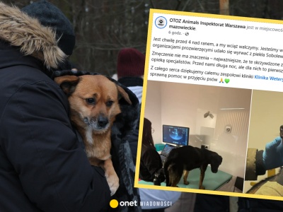 Nocna ewakuacja schroniska w Sobolewie. Na miejscu zapanował chaos