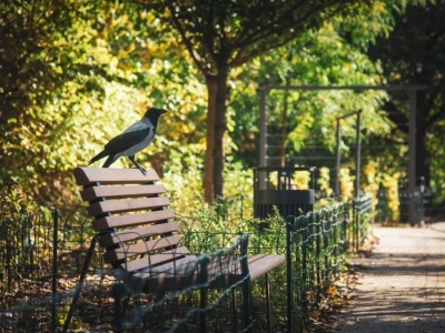 Zieleń w Warszawie. Co wydarzyło się w 2025 roku?