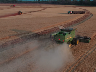 9 ton z hektara w Afryce. Tak polscy rolnicy koszą pszenicę w Zambii