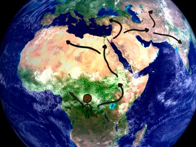 Dlaczego nie wszyscy ludzie mają czarną skórę?