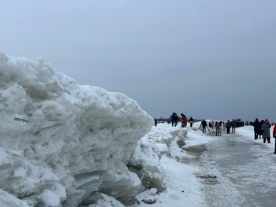 Mikoszewo jak lodowa kraina. Niezwykłe zjawisko zachwyca spacerowiczów