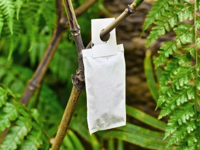 Już teraz załóż to na gałęzie. Przędziorki nie przetrwają do wiosny