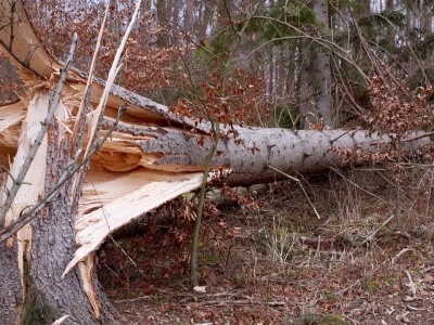 Orkan Kristin paraliżuje kraj. Nie żyje 10 osób
