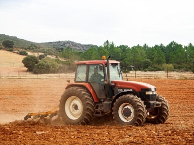 W Niemczech rozważa się wyłączenie pracowników sezonowych w rolnictwie spod płacy minimalnej