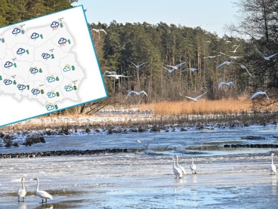 Nawet 8 stopni ciepła już wkrótce. Szykuje się nagły zwrot w pogodzie