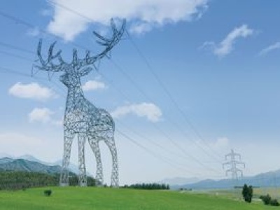 Zwierzęce kolosy ze słupów energetycznych. Za nimi pierwsze testy