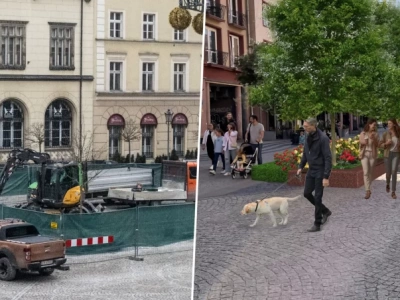 Koparki wjechały na wrocławski Rynek. Ponad sto drzew w ścisłym centrum