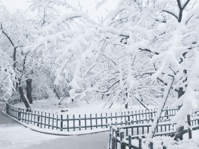 Mróz robi coś ważnego. Narzekamy, ale potrzeba niskich temperatur