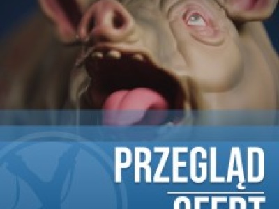 Przegląd ofert na REANIMAL: cena, premiera, edycje. Nowa gra twórców Little Nightmares!