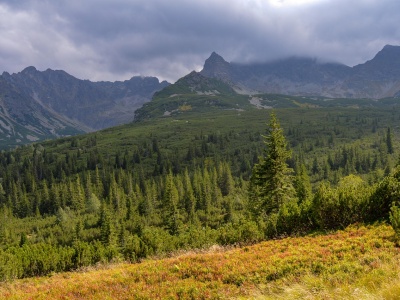 Gdzie nocować na Podhalu? Subiektywny przegląd domków w mniej oczywistych lokalizacjach