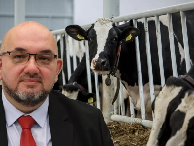 Cios w eksport produktów mlecznych z UE. Ceny mleka jeszcze spadną?