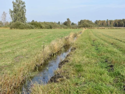 Zarząd spółki wodnej łamie prawo? Sprawdź, jak go odwołać