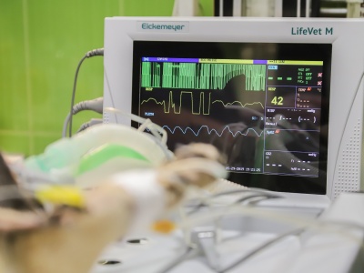 Sprzęt za kilkaset tysięcy złotych trafił do lecznic w gminie Waśniów