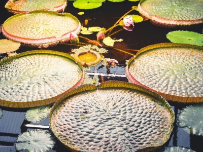 Środkowe Niemcy zachwycają naturą. Te miejsca to raj dla miłośników przyrody