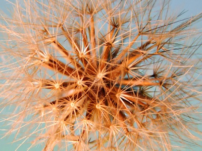 Cytat o przeciwnościach losu