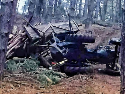 Nie żyje mężczyzna. Wypadek w lesie