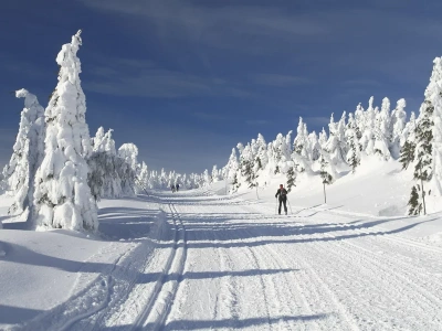 Polacy sprytnie oszczędzają na nartach. Nocleg w domu, stoki za granicą