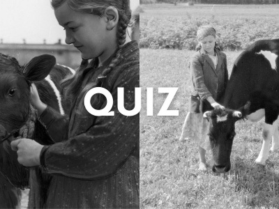 Rozwiąż quiz wiedzy o wsi. Miastowi odpadną na drugim pytaniu. A ty?