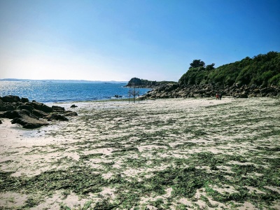 Zielone serce Atlantyku skryte na ustronnej wyspie. Turyści jeszcze nie wiedzą o tym raju