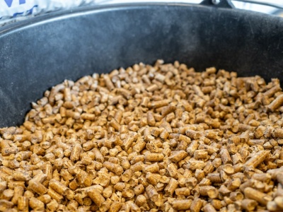 Pellet zniknął z półek. To wynik mrozów? 