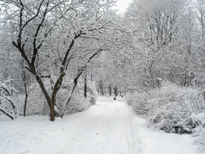 Mrozy jeszcze nie ustępują. Nadchodzi nowa fala zimna