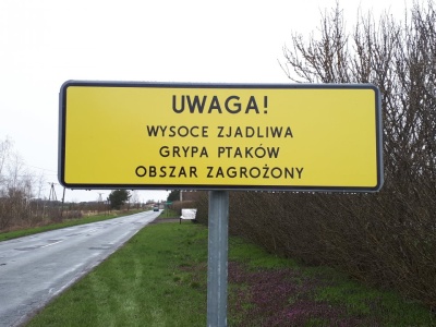 Nowe tablice na rogatkach Krakowa. Tym razem nie o SCT, tylko o ptakach